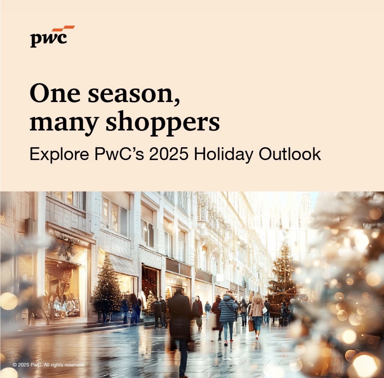 PwC Holiday Outlook